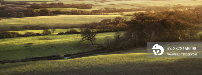 Beautifiul late Winter evening sunlight raking across stunning E