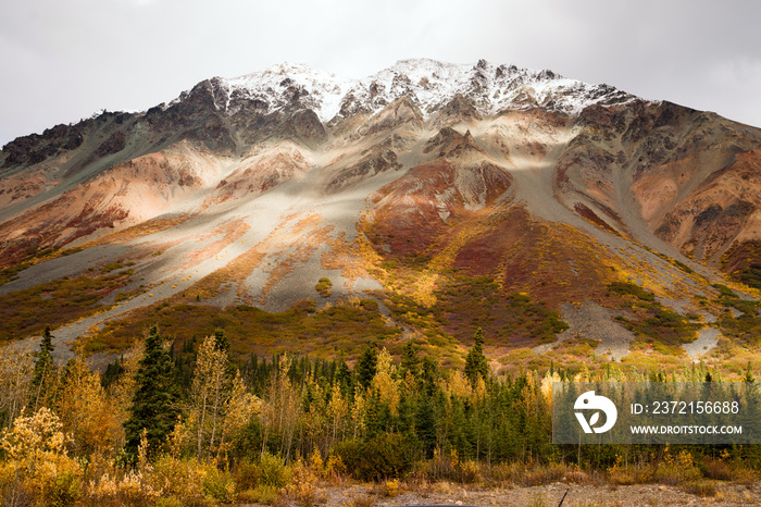 秋季颜色雪盖峰阿拉斯加山脉秋季季节