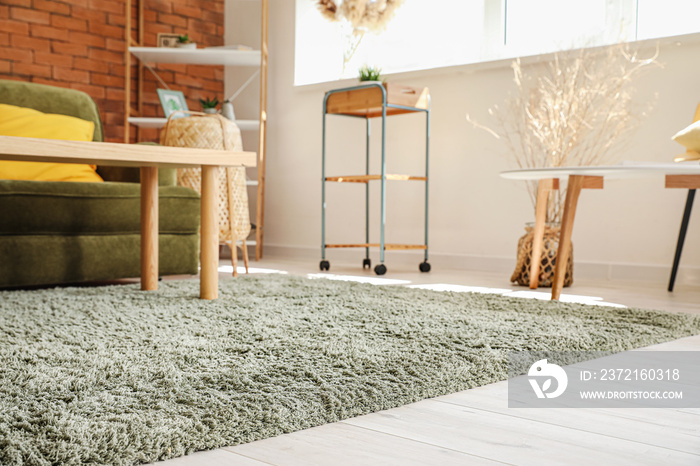 Stylish interior of living room with carpet