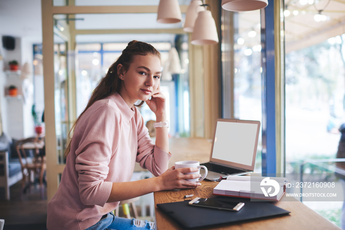 Calm woman studying in cafe having coffee