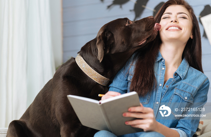 Sweet Labrador giving his mistress a kiss