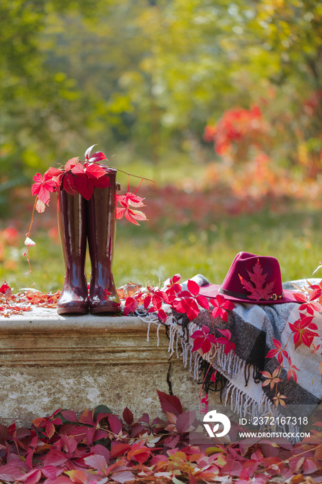 秋天的花园。石凳上有一条毯子、枕头、一篮子苹果和一顶酒红色的帽子