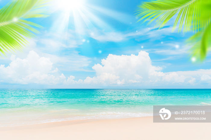 热带海滩上的棕榈树，蓝天白云的抽象背景。复制夏天的空间