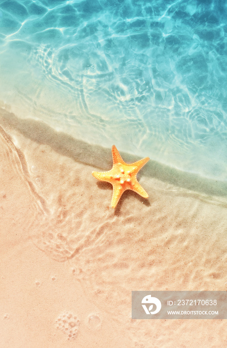 Starfish on the summer beach. Summer background. Tropical sand beach