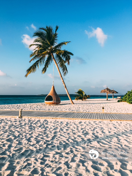 马尔代夫岛豪华度假棕榈树挂吊床