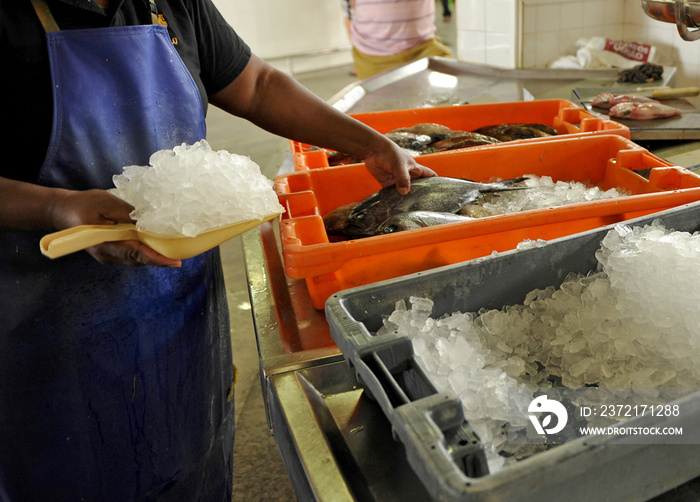 Hielo picado para conservar el pescado fresco en la pescadería.