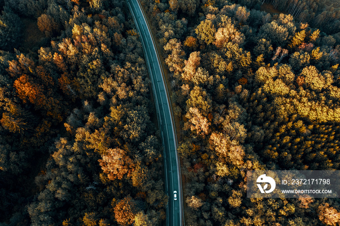 穿过森林的土路鸟瞰图。