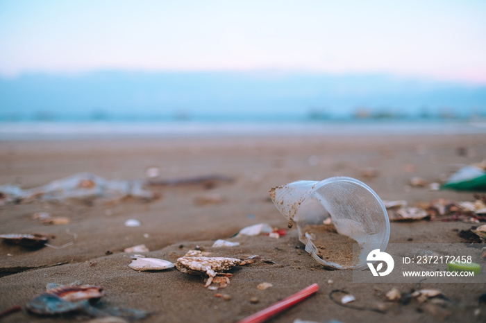 Trash, plastic, garbage, bottle, bag... environmental pollution on sandy beach. Royalty high-quality