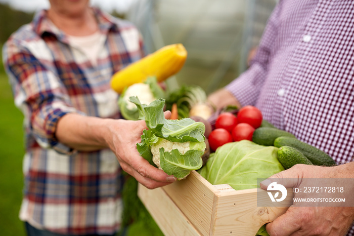 senior couple with box of vegetables on farm