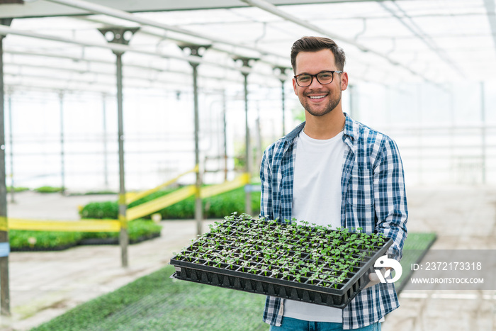 Portrait of a handsome young man holding nursery trays at modern vegetable cultivation farm.