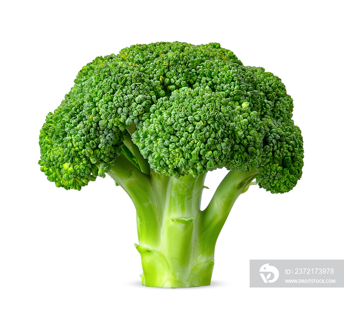 Broccoli isolated on white with clipping path