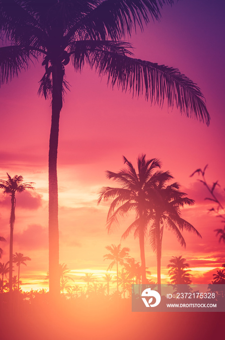 日落天空中的热带棕榈树云朵抽象背景。
