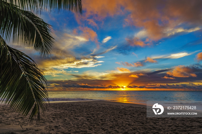 looking through palm leaf at sunset at anse georgette,praslin,seychelles 8