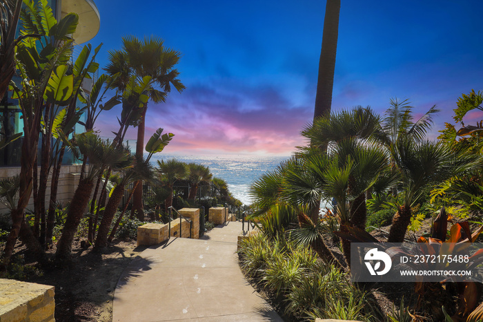 a staircase down to the beach surrounded by lush green palm trees and plants with a gorgeous sky at 