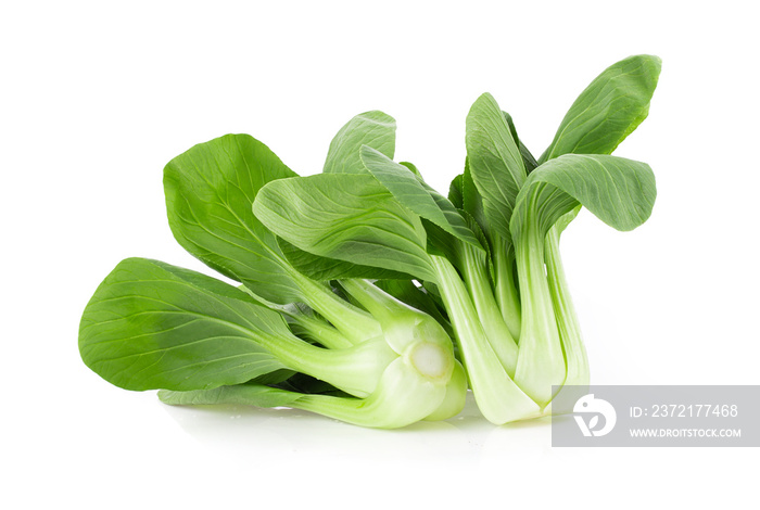 Bok choy isolated on white background. full depth of field