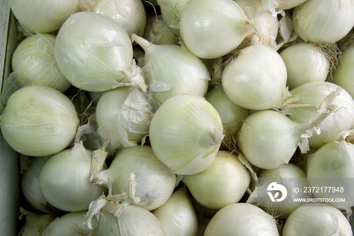 White onions on the market