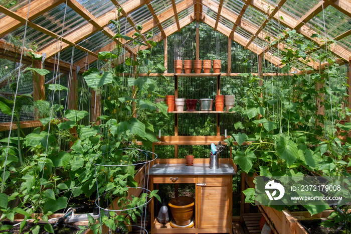 种植蔬菜的木制家庭温室内部