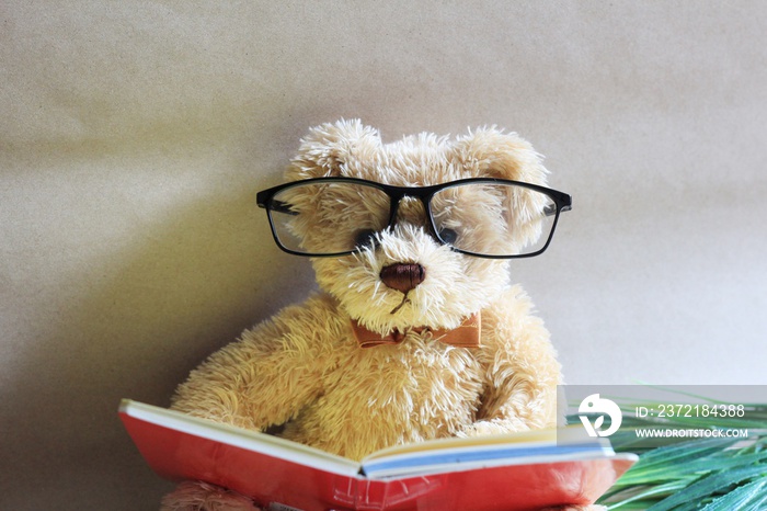 a lovely wearing glasses teddy is reading a book