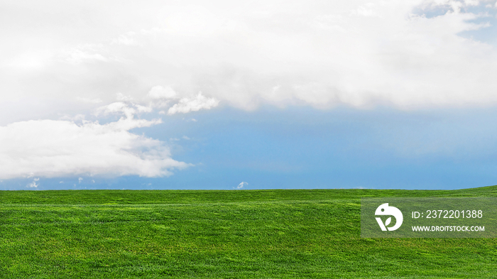 Green grassy field and blue sky with white clouds, Portland