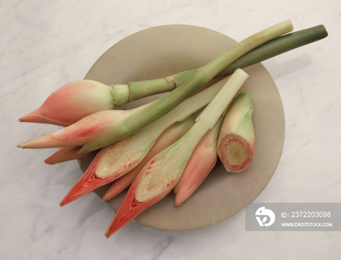 Torch ginger buds - Etlingera elatior