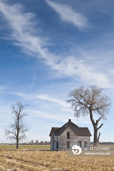 Abandoned House in Field