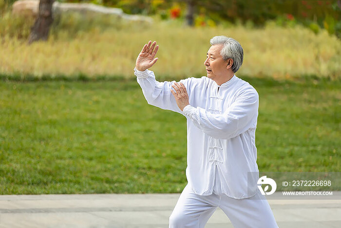 老年男子在公园练太极