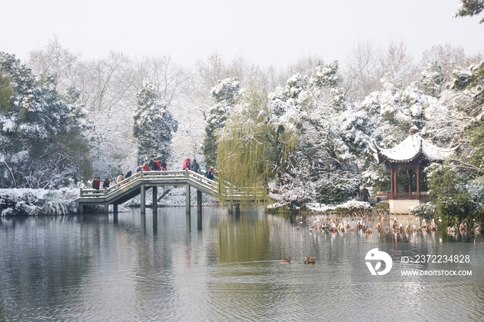 杭州西湖曲院风荷雪景