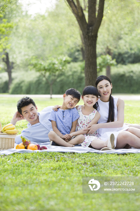 快乐的年轻家庭在草地上野餐