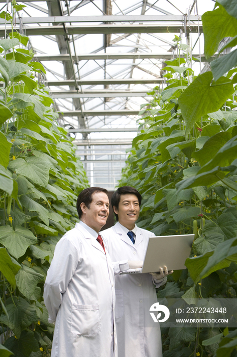 农艺师在现代农庄做科学研究