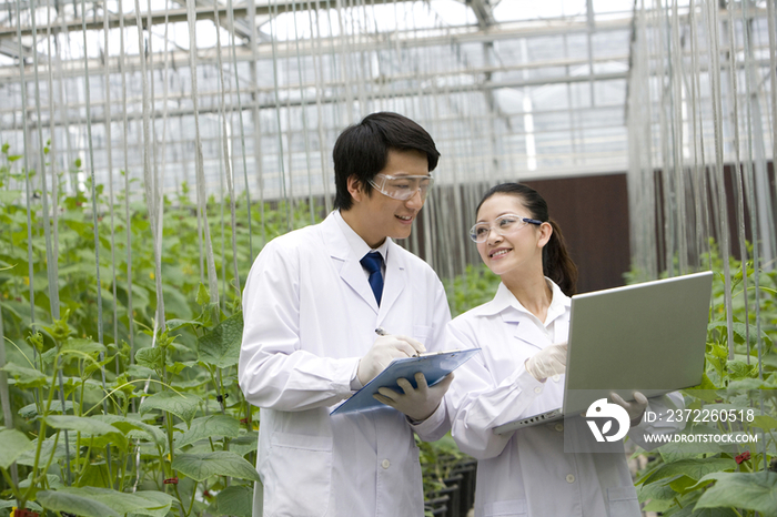 农艺师在现代农庄做科学研究