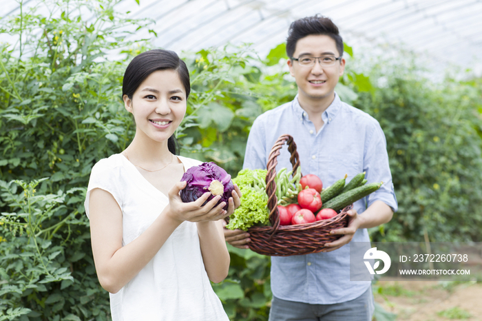 年轻夫妻采摘新鲜蔬菜