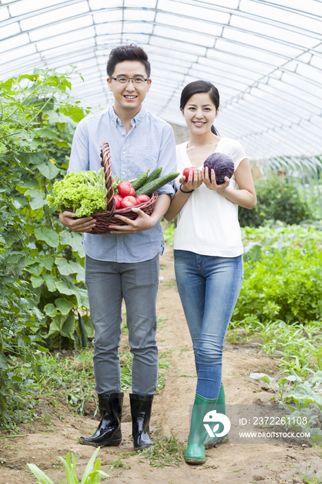 年轻夫妻采摘新鲜蔬菜