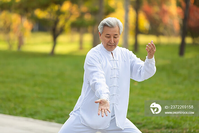 老年男子在公园练太极