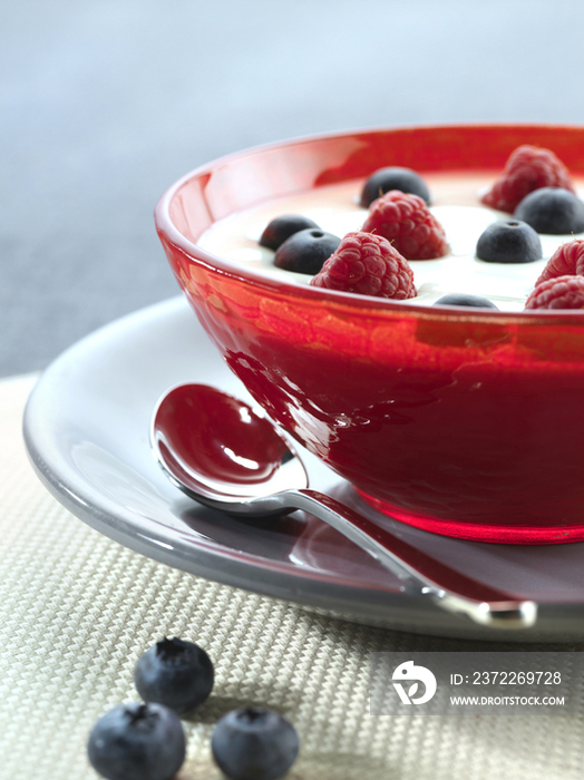 Yoghurt bowl with raspberries and blueberries