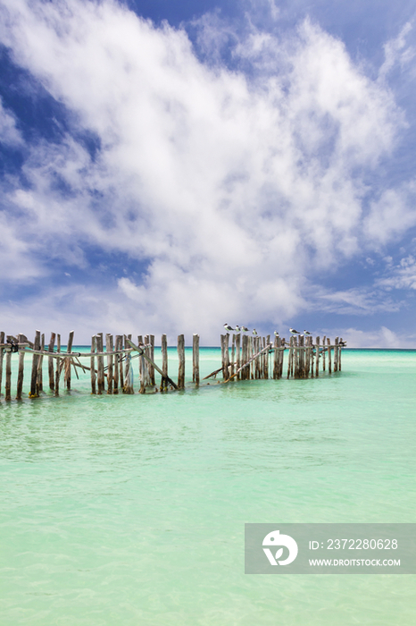 Wooden fence extending into ocean