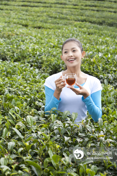 青年女子在茶园喝茶