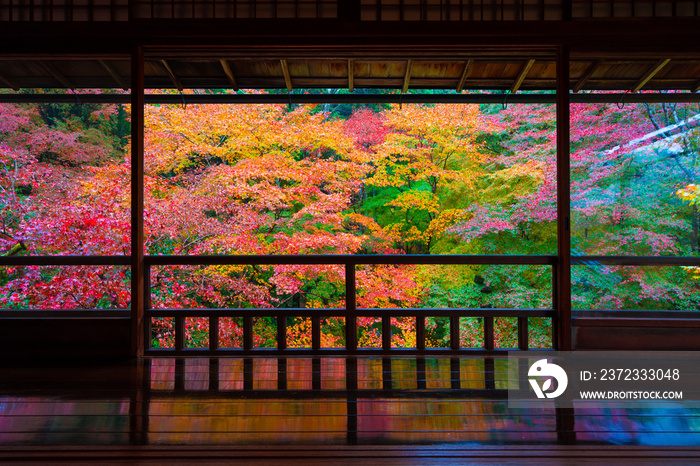 京都瑠璃光院的红叶