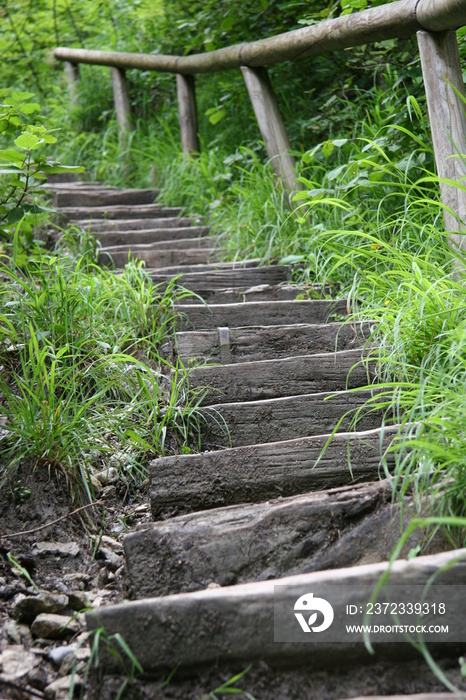 der weg nach oben