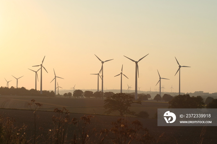 abendstimmung im windpark