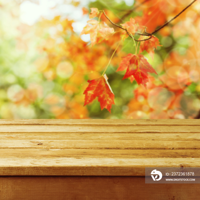 美丽的秋天背景与空木甲板桌