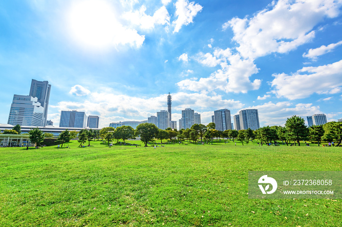 横滨城市建筑景观草前景