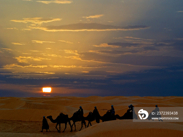 突尼斯沙漠骑骆驼