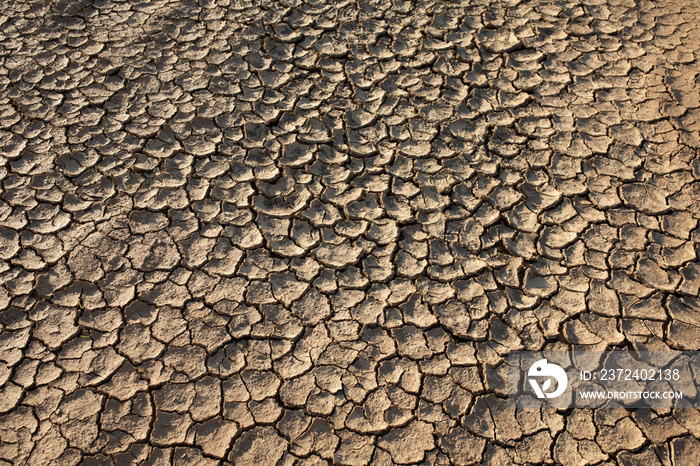 干旱开裂的沙漠纹理。全球缺水。全球变暖和绿色