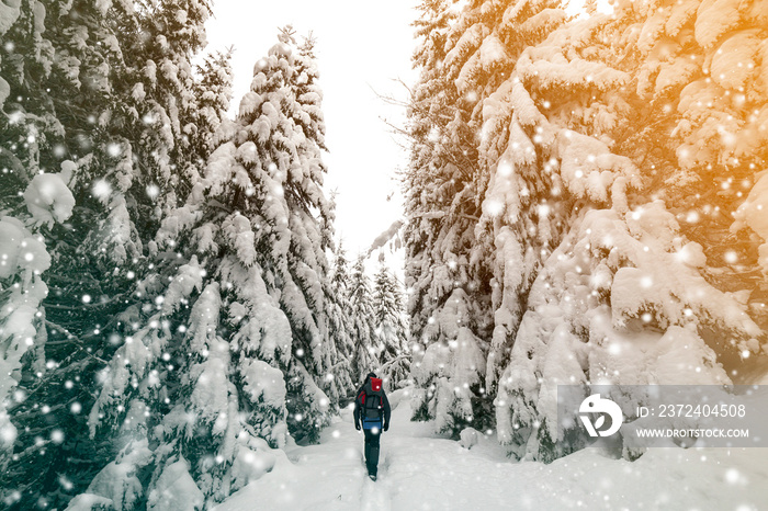 背着背包的徒步旅行者在寒冷的冬日里走在洁白的深雪中的背影