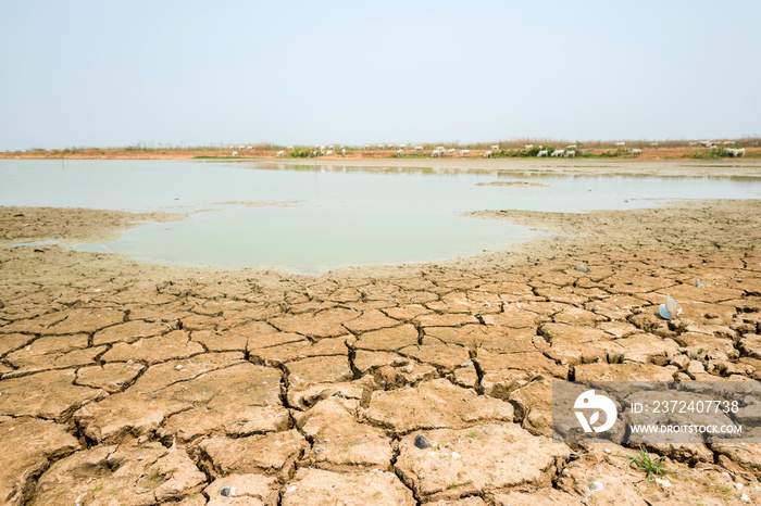 cracked soil in the bottom of a river showing drought