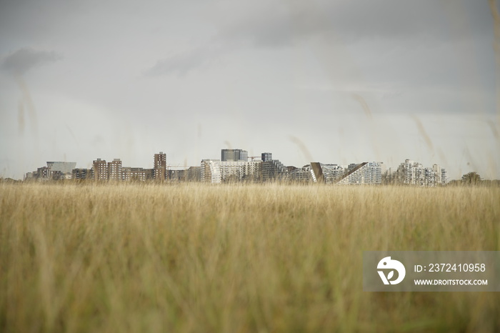 Amazing landscape with Ørestad in the background Amager Fælled, Copenhagen, Denmark, Amager  Amazing