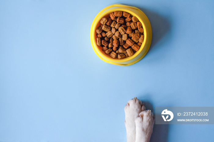 One bowl of yellow color with food and paws with a dog face.