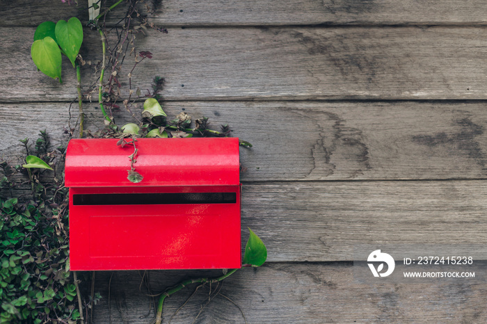 red mail box on wooden wall background with small ivy plant.