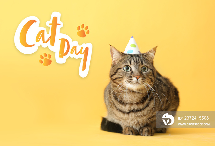 Cute cat in party hat on color background. International Cat Day