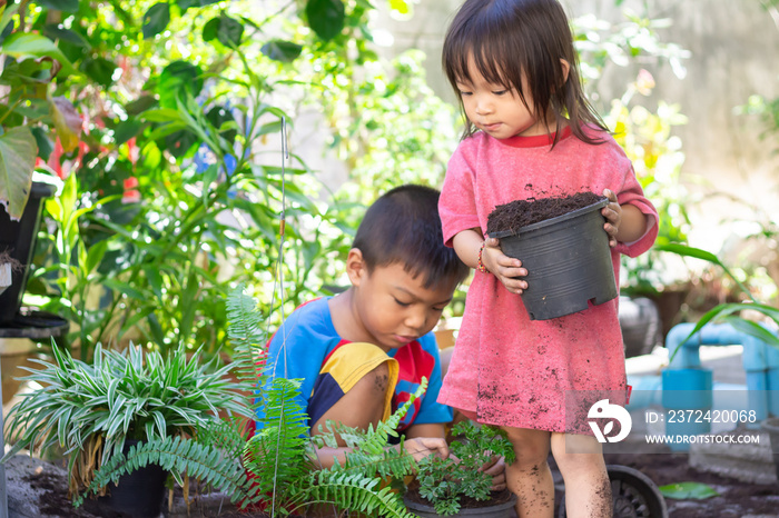 Asian​ sibling planting tree on pots,Children is planting spring flowers tree on pots in the  garden